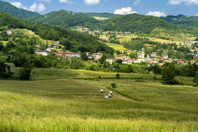 Scenic view of agricultural field