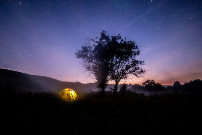 Yellow touristic tent under three at starry summer night