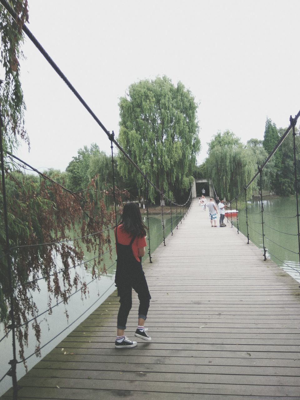 full length, the way forward, tree, walking, one person, real people, outdoors, growth, day, nature, sky, people