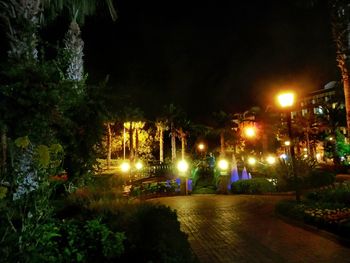 View of illuminated street lights at night