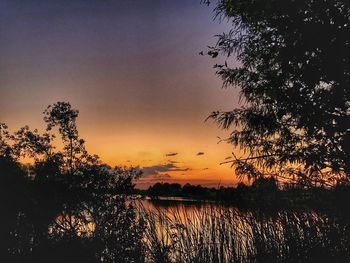 Silhouette trees by lake against sky during sunset