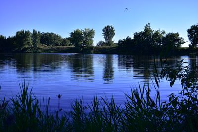 Scenic view of lake against blue sky
