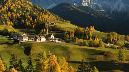 Scenic view of trees and houses by mountains