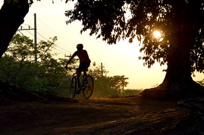 Silhouette man riding bicycle by tree against sky