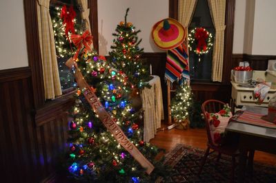 Illuminated christmas lights