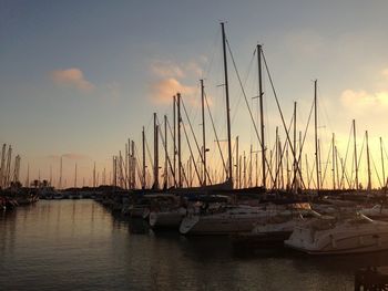 Boats in harbor at sunset