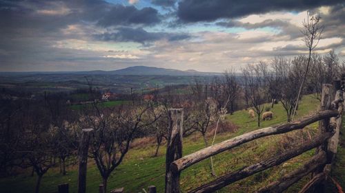 Scenic view of field against cloudy sky