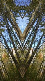 Digital composite image of trees against sky