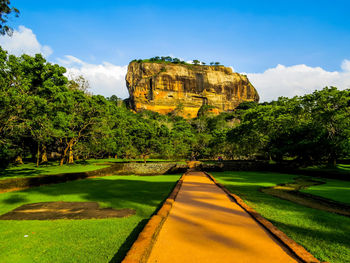 Scenic view of green trees against sky