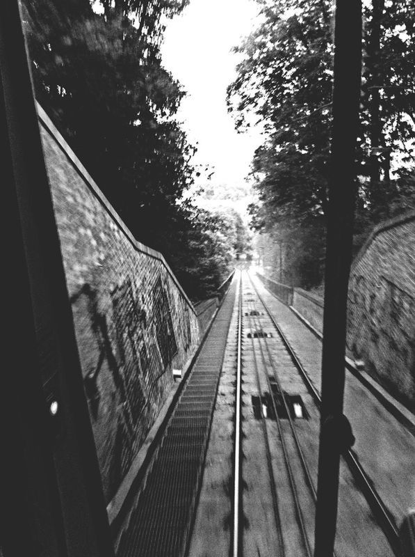 transportation, railroad track, tree, rail transportation, the way forward, day, no people, outdoors, public transportation, sky