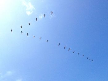 Low angle view of birds forming v-shape in sky