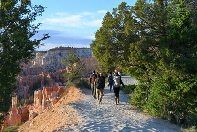 Rear view of people walking on road