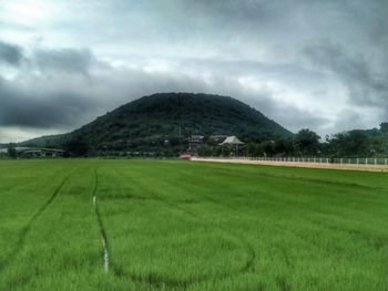 Scenic view of grassy field against sky