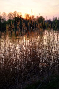 Scenic view of lake against sky during sunset