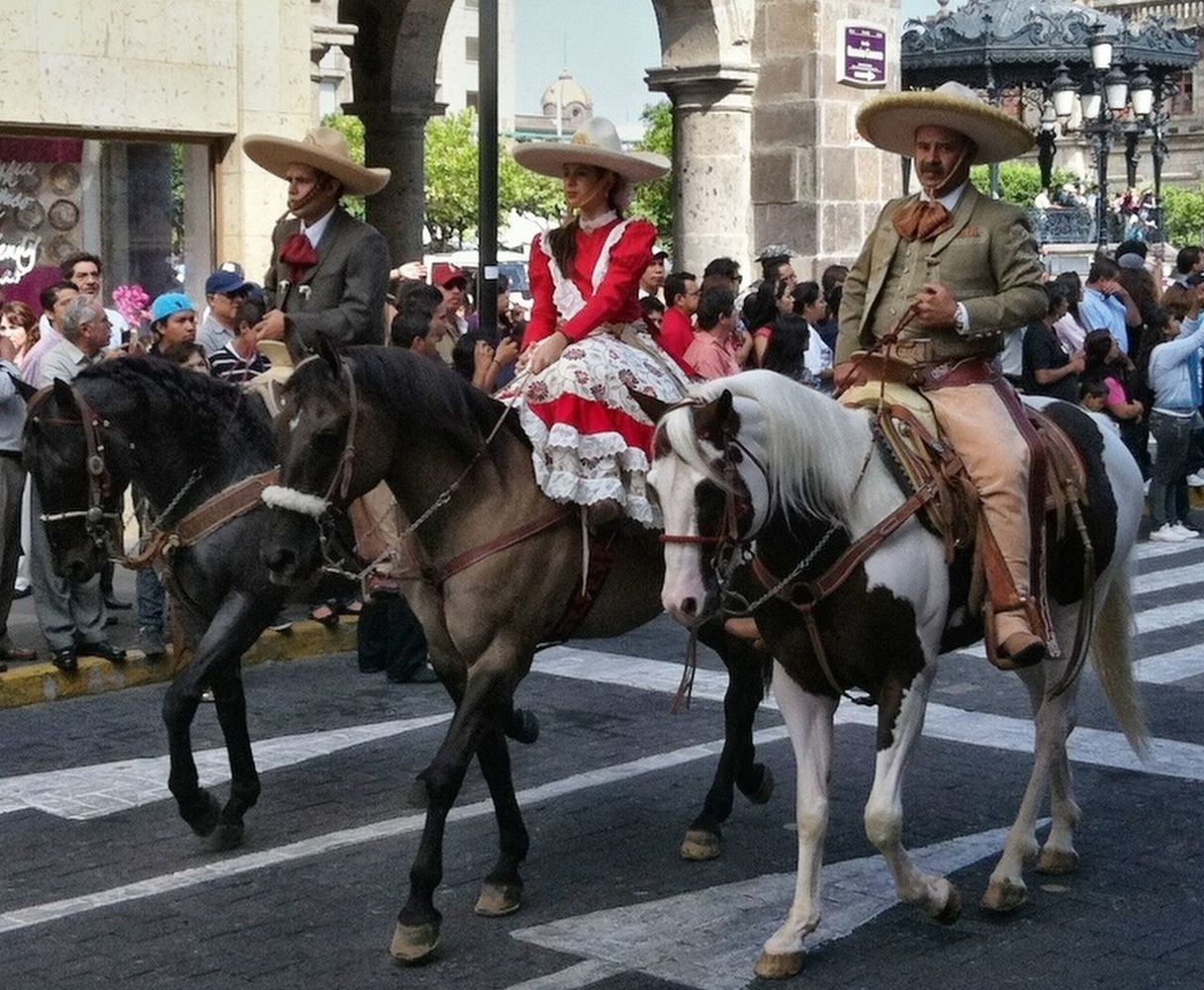 street, large group of people, men, building exterior, built structure, architecture, horse, person, city, walking, livestock, working animal, animal themes, day, road, outdoors, city life, incidental people, domestic animals