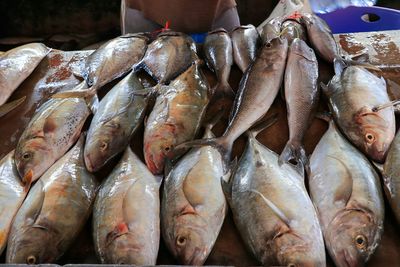 High angle view of fish for sale in market