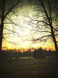 Silhouette trees on field against sky during sunset