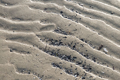 High angle view of tire tracks on sand