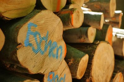 Close-up of logs in forest