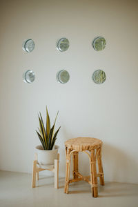 Potted plant on table at home