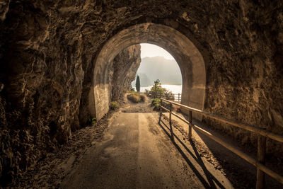 Road amidst trees seen through tunnel