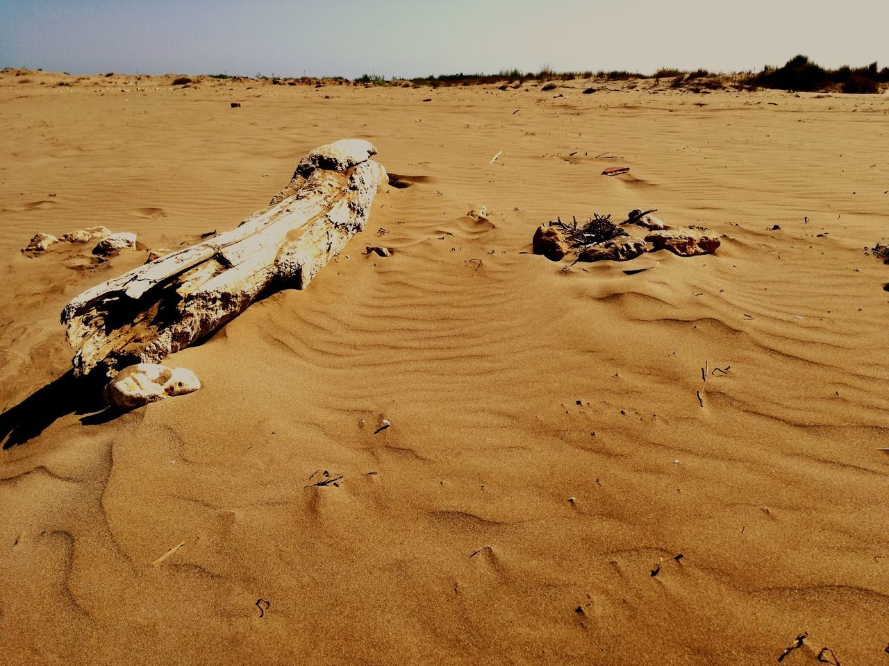 sand, beach, tranquility, shore, desert, tranquil scene, nature, arid climate, scenics, beauty in nature, landscape, remote, barren, day, non-urban scene, outdoors, no people, idyllic, travel destinations, non urban scene, sky, natural pattern, tourism