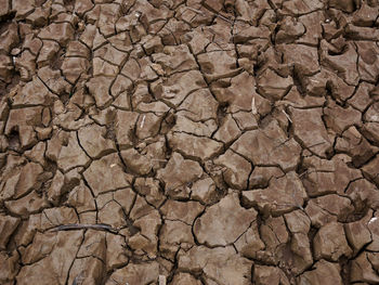 Full frame shot of cracked land