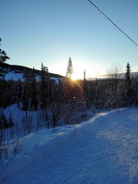 Snow covered field against sky
