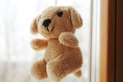 Close-up of stuffed toy hanging