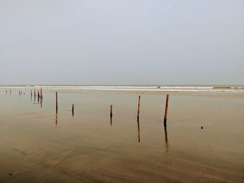 Wooden posts in sea against clear sky