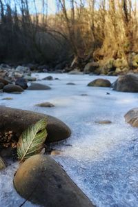 Close-up of water flowing through rocks in winter