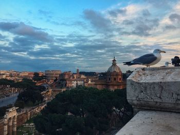 Birds perching on historic building against cloudy sky