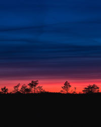 Silhouette trees against sky at night