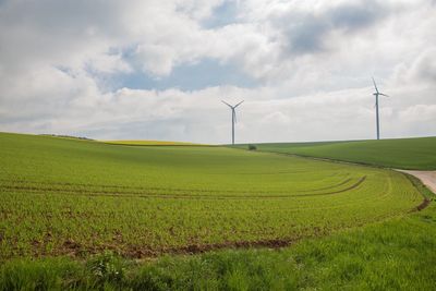 Scenic view of field against sky