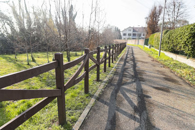 Footpath amidst trees and plants seen through fence