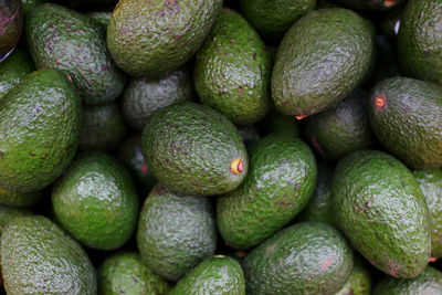 Full frame shot of avocados for sale at market