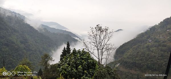 Panoramic view of trees and mountains against sky