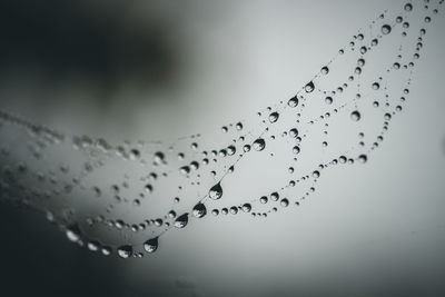 Close-up of wet spider web against sky during rainy season