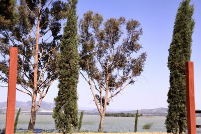 Trees by lake against clear sky