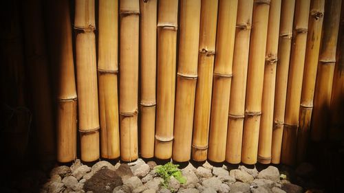 High angle view of bamboo outside building