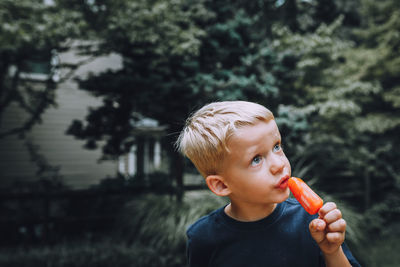 Close-up of boy eating flavored ice cream