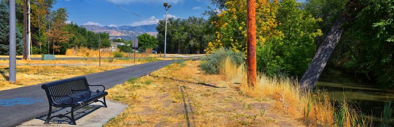 Empty road amidst trees during autumn