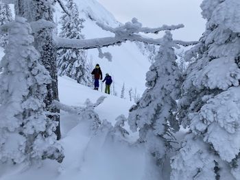 People skiing on snow covered land