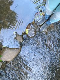 High angle view of water