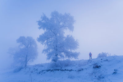 Person standing on snow covered land against sky