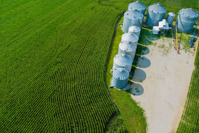 High angle view of agricultural field