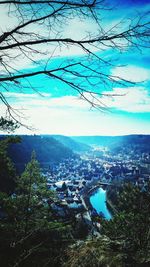 Crowd of tree against sky