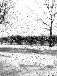 Close-up of water drops on glass