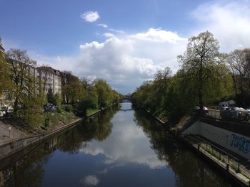 Reflection of trees in water