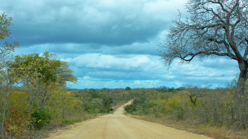 Dirt road along plants and trees against sky